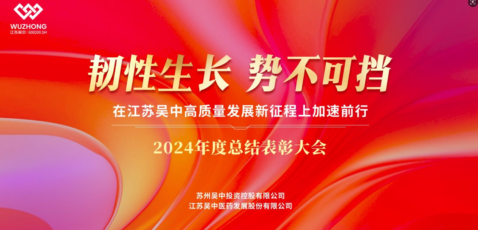 公司召开2024年度总结表彰大会暨2025年新春团...
